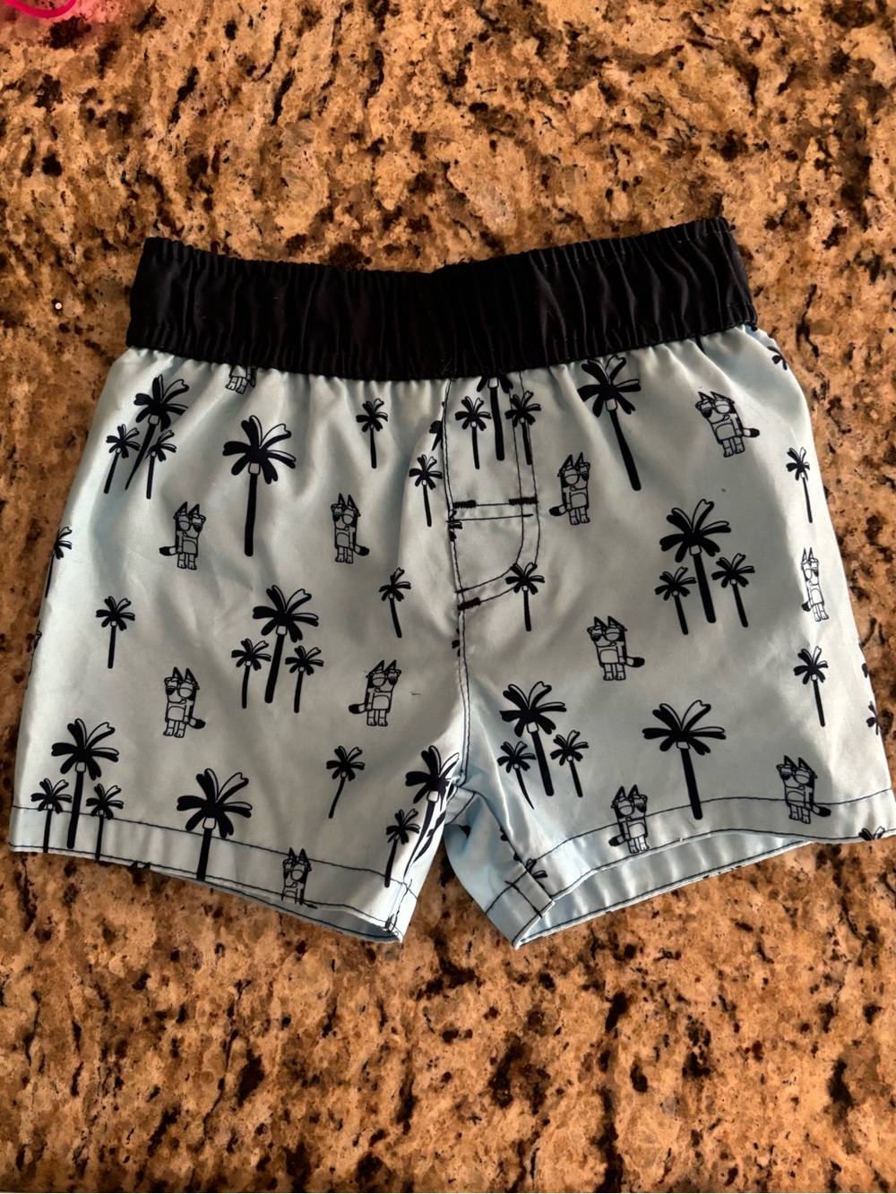 Toddler Boys Bluey Swim Shorts